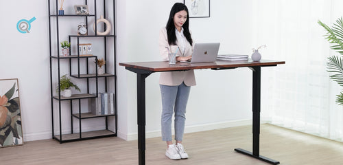 The Evolution of the Modern Workspace: From Cubicles to Standing Desks